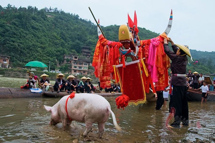 丸木の竜船祭り 丸木の竜船祭り