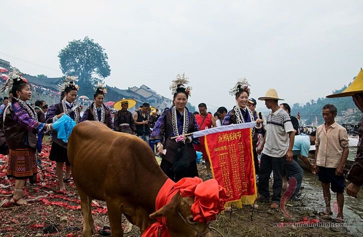 丸木の竜船祭り 丸木の竜船祭り