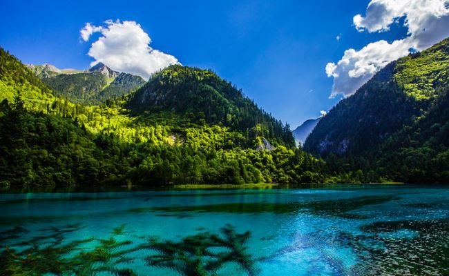 成都、峨眉山、黄龍、九寨溝6泊7日間