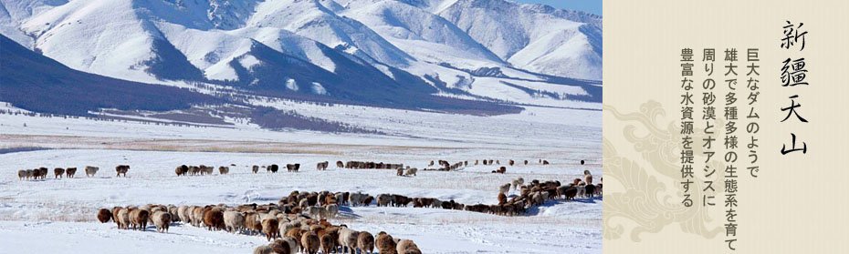 世界遺産－新疆天山