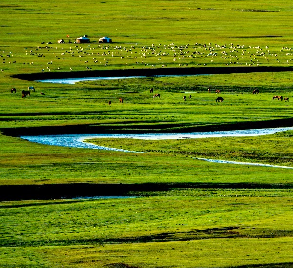 内モンゴル旅行