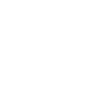 Trip Advisor certificate 2025