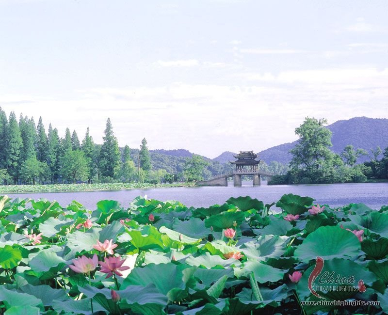 西湖湖畔