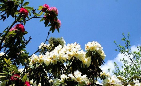 貴州省の祝日と祭り